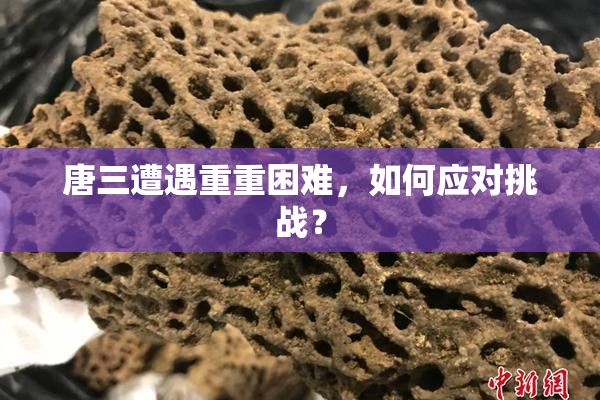 唐三遭遇重重困难，如何应对挑战？