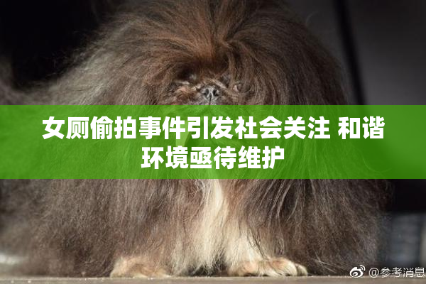 女厕偷拍事件引发社会关注 和谐环境亟待维护
