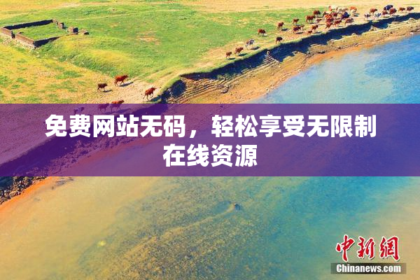 免费网站无码，轻松享受无限制在线资源