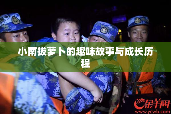 小南拔萝卜的趣味故事与成长历程