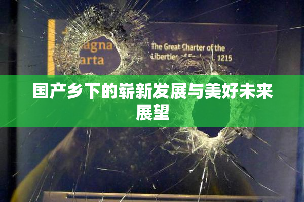 国产乡下的崭新发展与美好未来展望