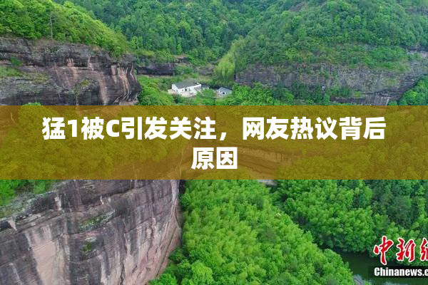 猛1被C引发关注，网友热议背后原因