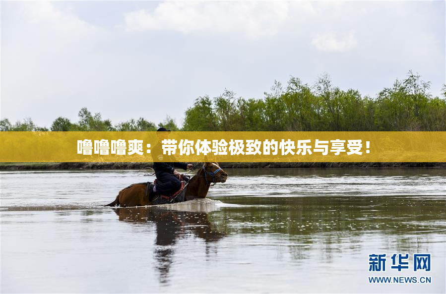 噜噜噜爽：带你体验极致的快乐与享受！