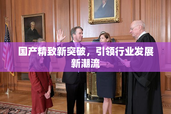 国产精致新突破，引领行业发展新潮流