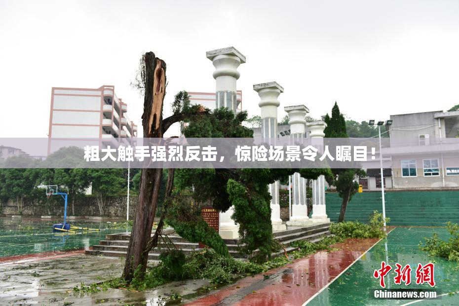 粗大触手强烈反击，惊险场景令人瞩目！