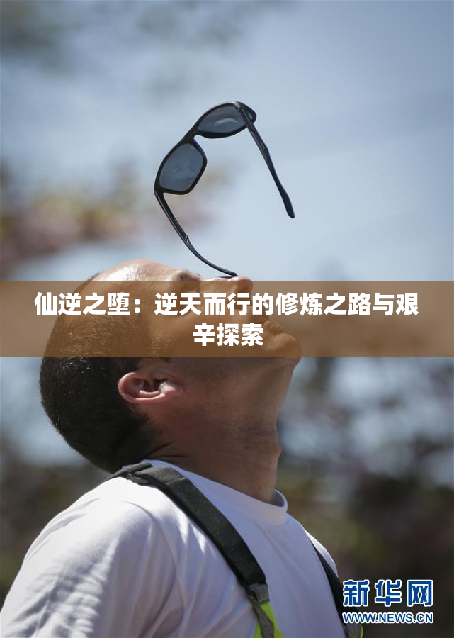 仙逆之堕：逆天而行的修炼之路与艰辛探索