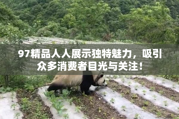 97精品人人展示独特魅力，吸引众多消费者目光与关注！