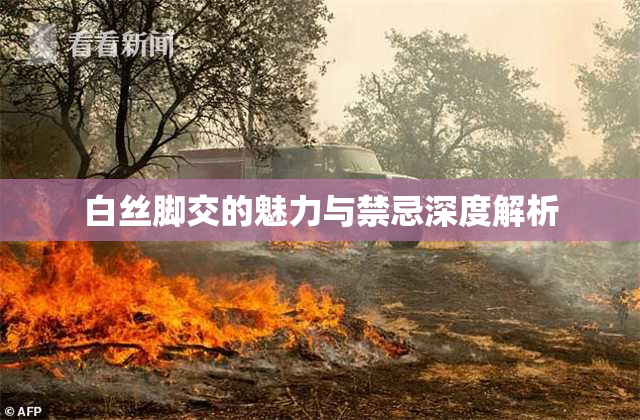 白丝脚交的魅力与禁忌深度解析