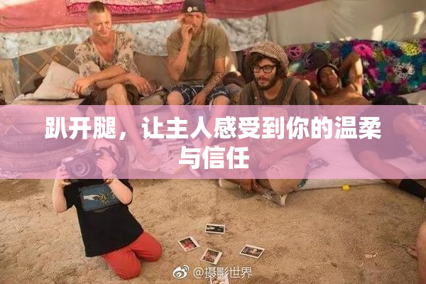 趴开腿，让主人感受到你的温柔与信任