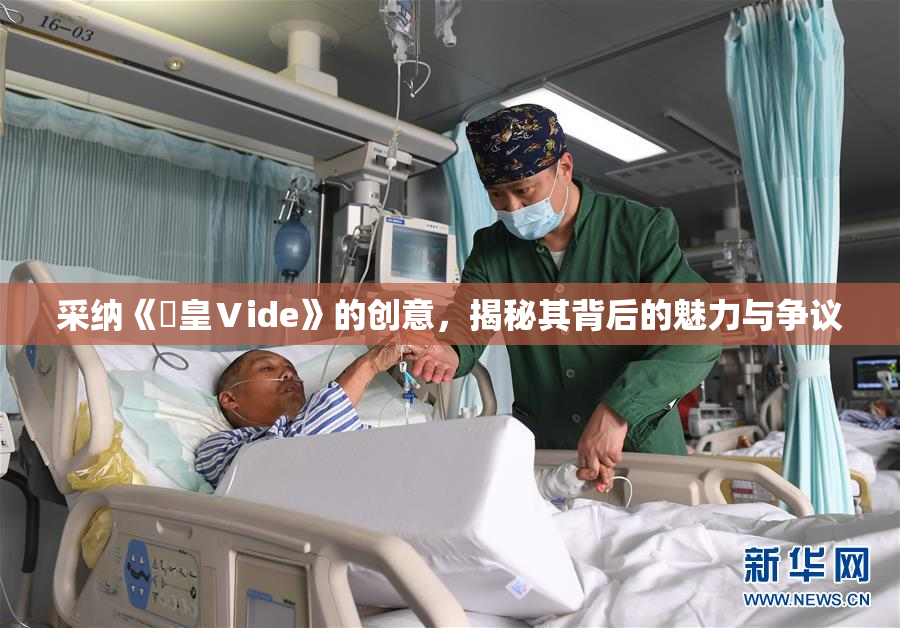 采纳《嘼皇Ⅴide》的创意，揭秘其背后的魅力与争议