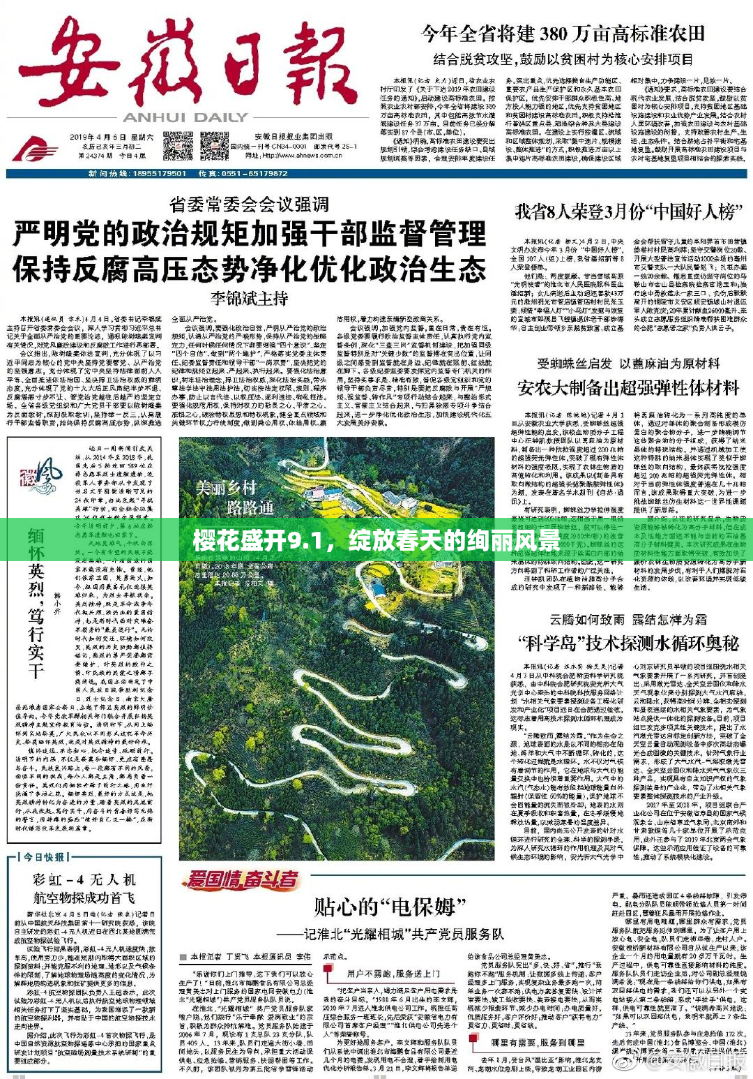 樱花盛开9.1，绽放春天的绚丽风景