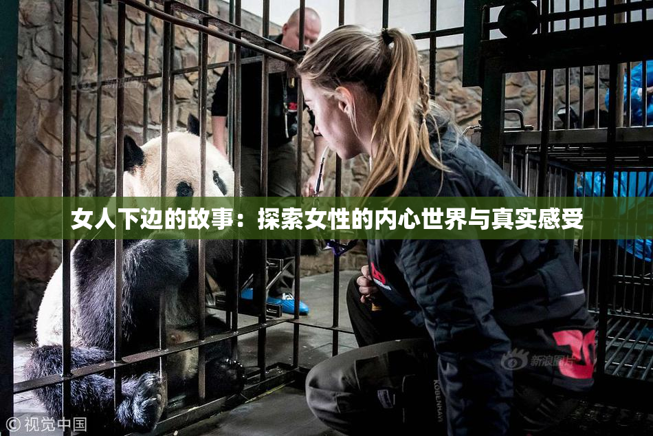 女人下边的故事：探索女性的内心世界与真实感受
