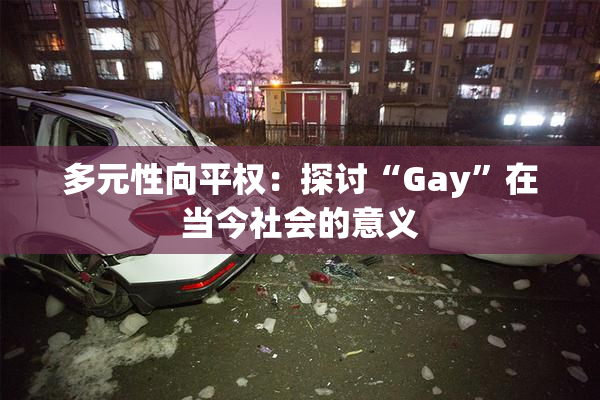 多元性向平权：探讨“Gay”在当今社会的意义