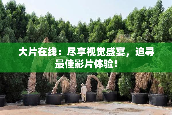 大片在线：尽享视觉盛宴，追寻最佳影片体验！