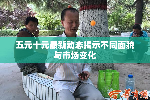 五元十元最新动态揭示不同面貌与市场变化