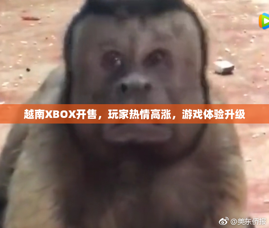 越南XBOX开售，玩家热情高涨，游戏体验升级
