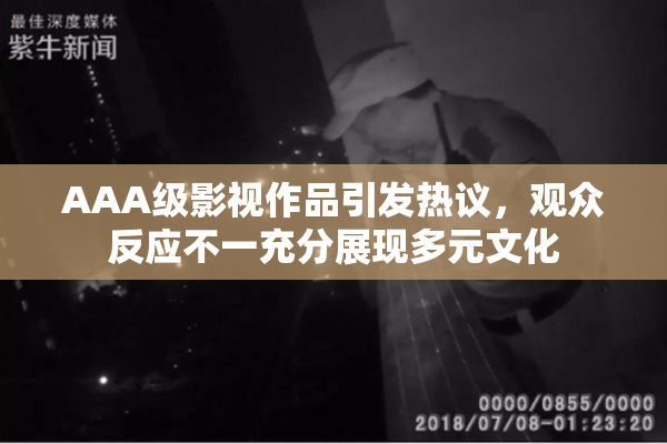 AAA级影视作品引发热议，观众反应不一充分展现多元文化