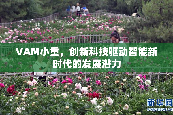 VAM小重，创新科技驱动智能新时代的发展潜力