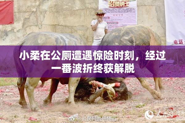 小柔在公厕遭遇惊险时刻，经过一番波折终获解脱