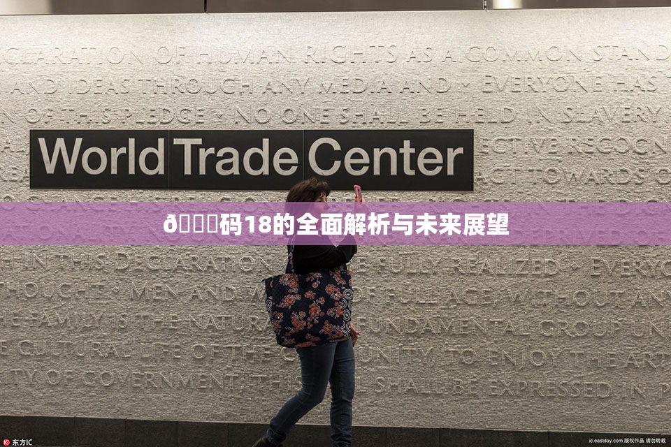 🈚码18的全面解析与未来展望