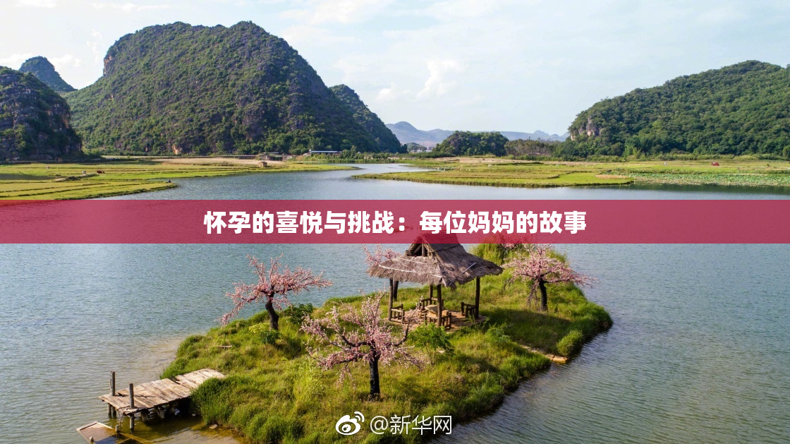 怀孕的喜悦与挑战：每位妈妈的故事