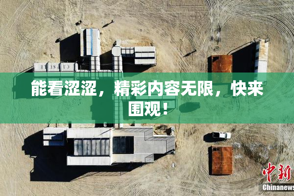 能看涩涩，精彩内容无限，快来围观！