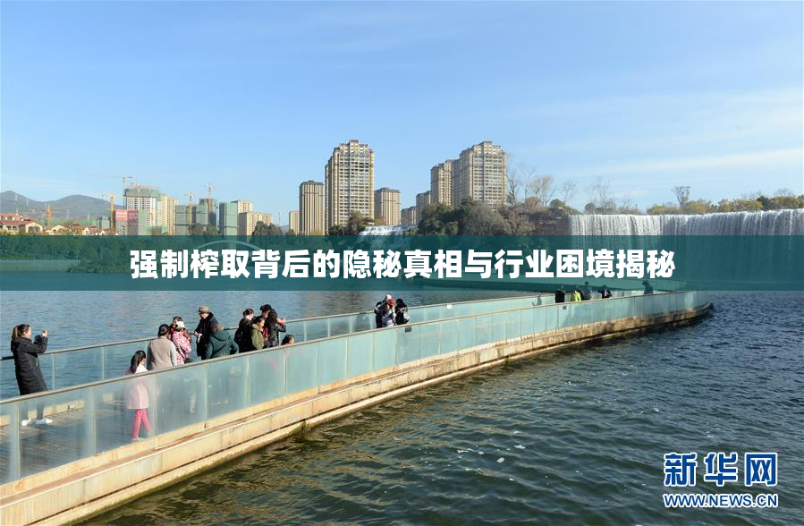 强制榨取背后的隐秘真相与行业困境揭秘