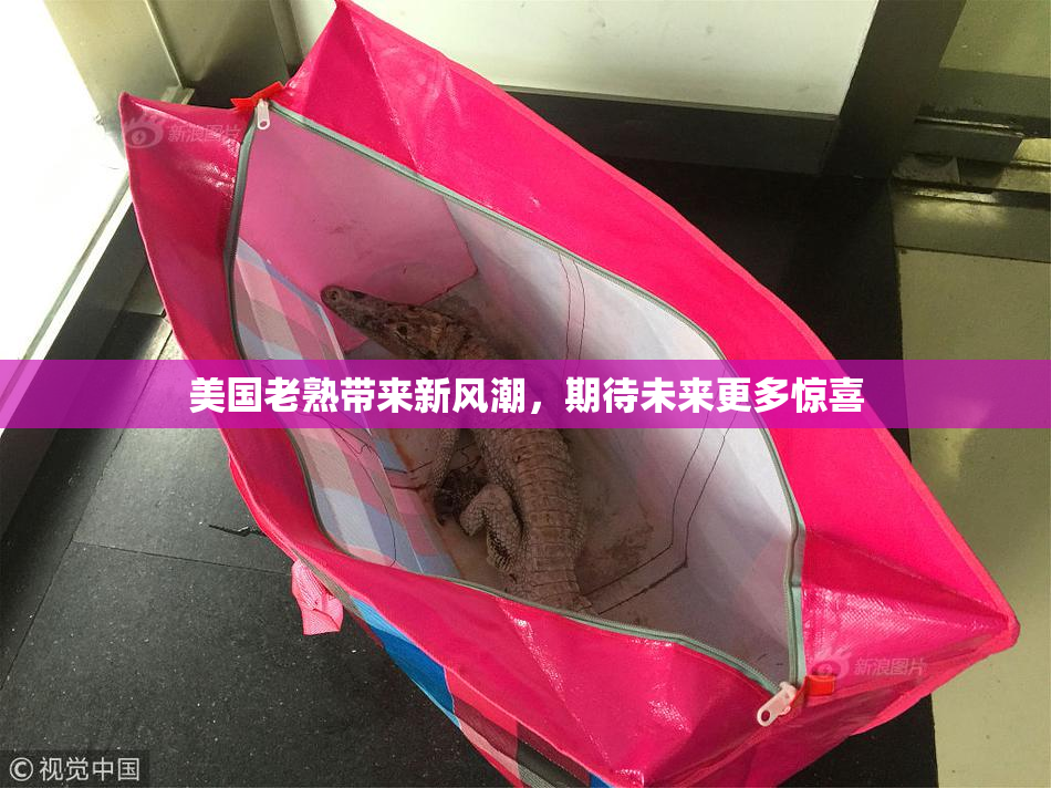美国老熟带来新风潮，期待未来更多惊喜