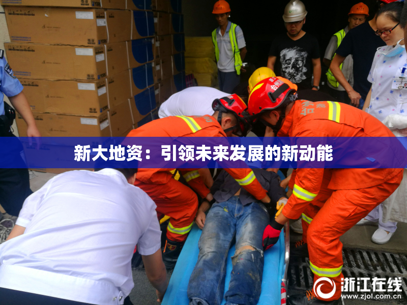 新大地资：引领未来发展的新动能