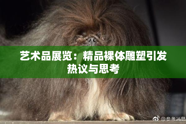 艺术品展览：精品裸体雕塑引发热议与思考
