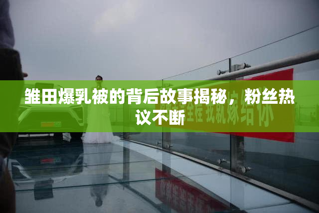 雏田爆乳被的背后故事揭秘，粉丝热议不断