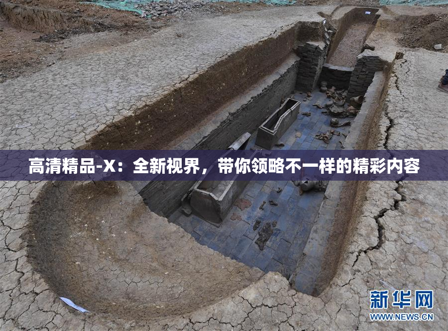 高清精品-X：全新视界，带你领略不一样的精彩内容
