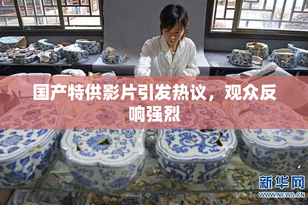 国产特供影片引发热议，观众反响强烈