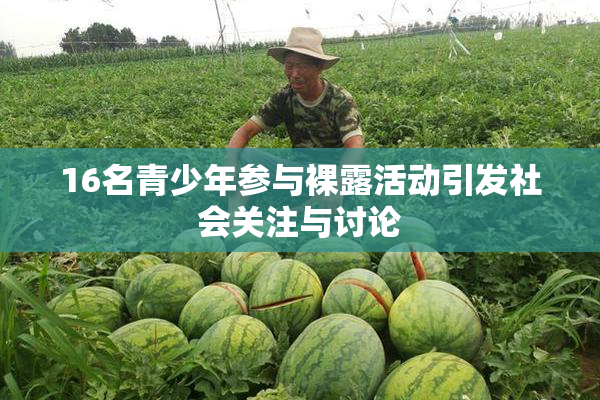 16名青少年参与裸露活动引发社会关注与讨论