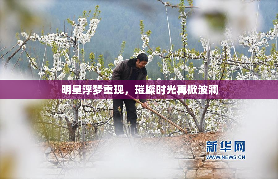 明星浮梦重现，璀璨时光再掀波澜