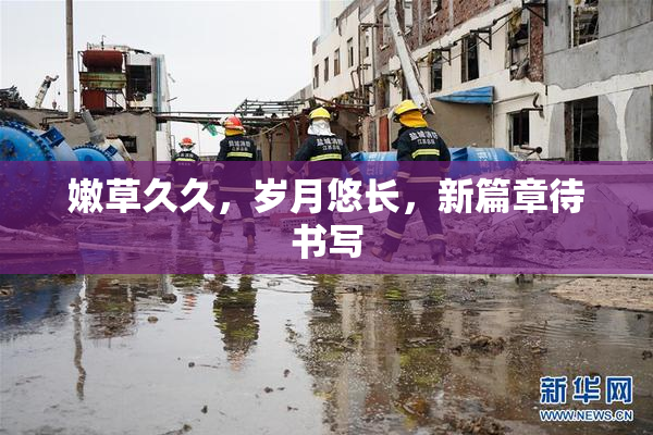 嫩草久久，岁月悠长，新篇章待书写
