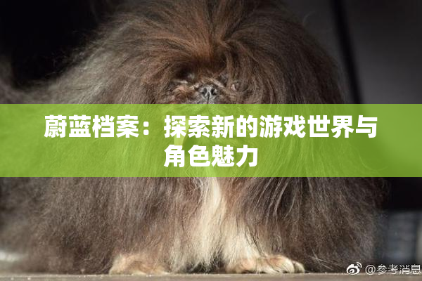 蔚蓝档案：探索新的游戏世界与角色魅力