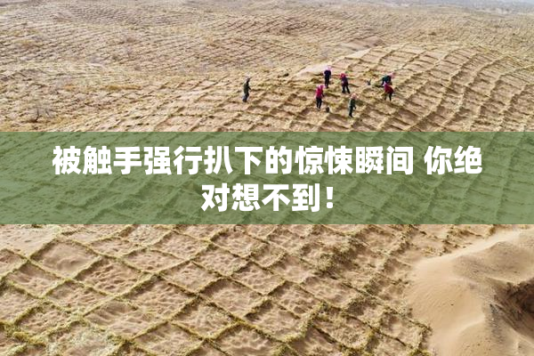 被触手强行扒下的惊悚瞬间 你绝对想不到！