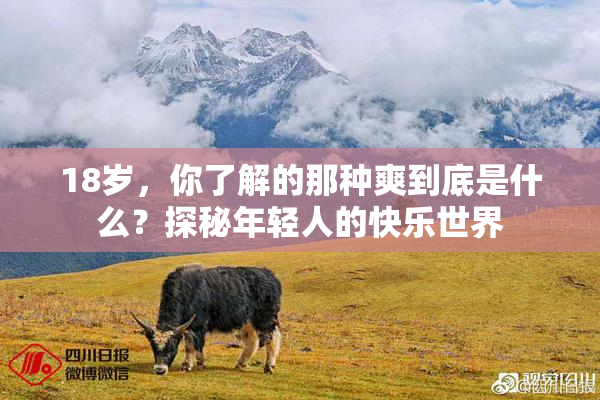 18岁，你了解的那种爽到底是什么？探秘年轻人的快乐世界