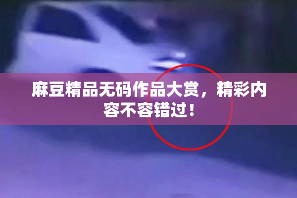 麻豆精品无码作品大赏，精彩内容不容错过！