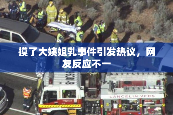 摸了大姨姐乳事件引发热议，网友反应不一
