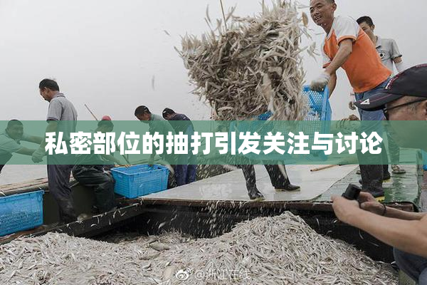 私密部位的抽打引发关注与讨论