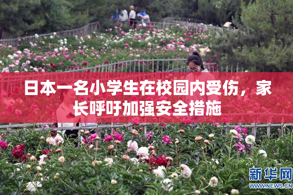 日本一名小学生在校园内受伤，家长呼吁加强安全措施