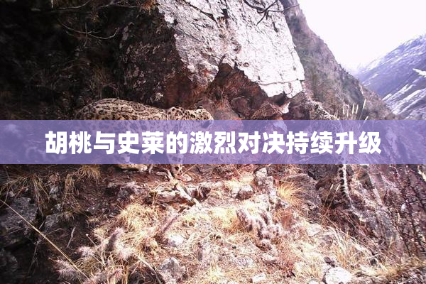胡桃与史莱的激烈对决持续升级