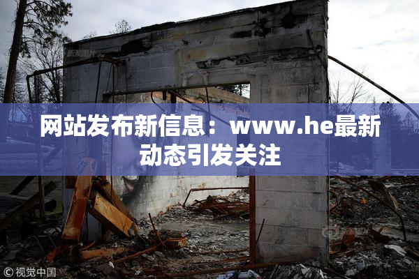 网站发布新信息：www.he最新动态引发关注