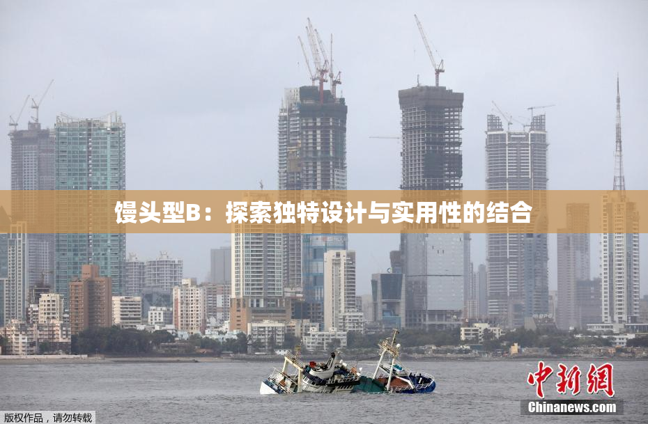 馒头型B：探索独特设计与实用性的结合