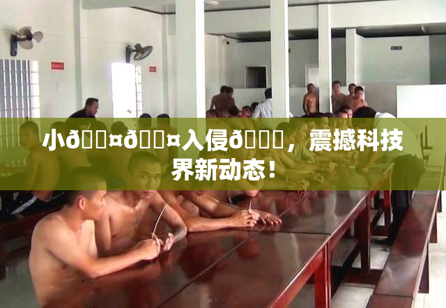 小🐤🐤入侵🍑，震撼科技界新动态！