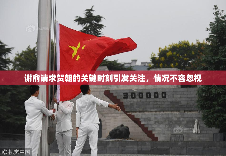 谢俞请求贺朝的关键时刻引发关注，情况不容忽视