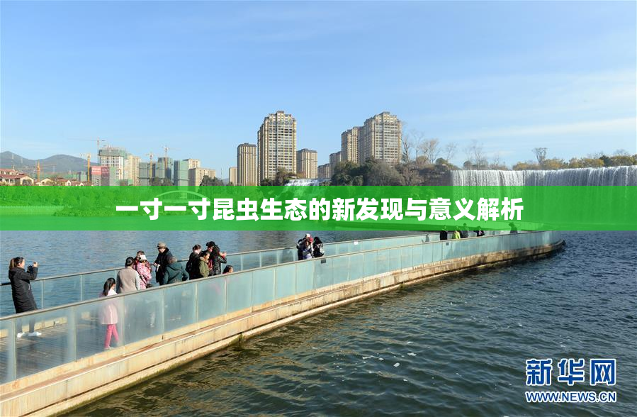 一寸一寸昆虫生态的新发现与意义解析