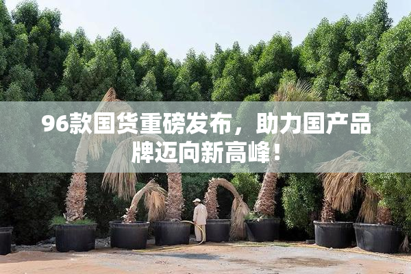 96款国货重磅发布，助力国产品牌迈向新高峰！